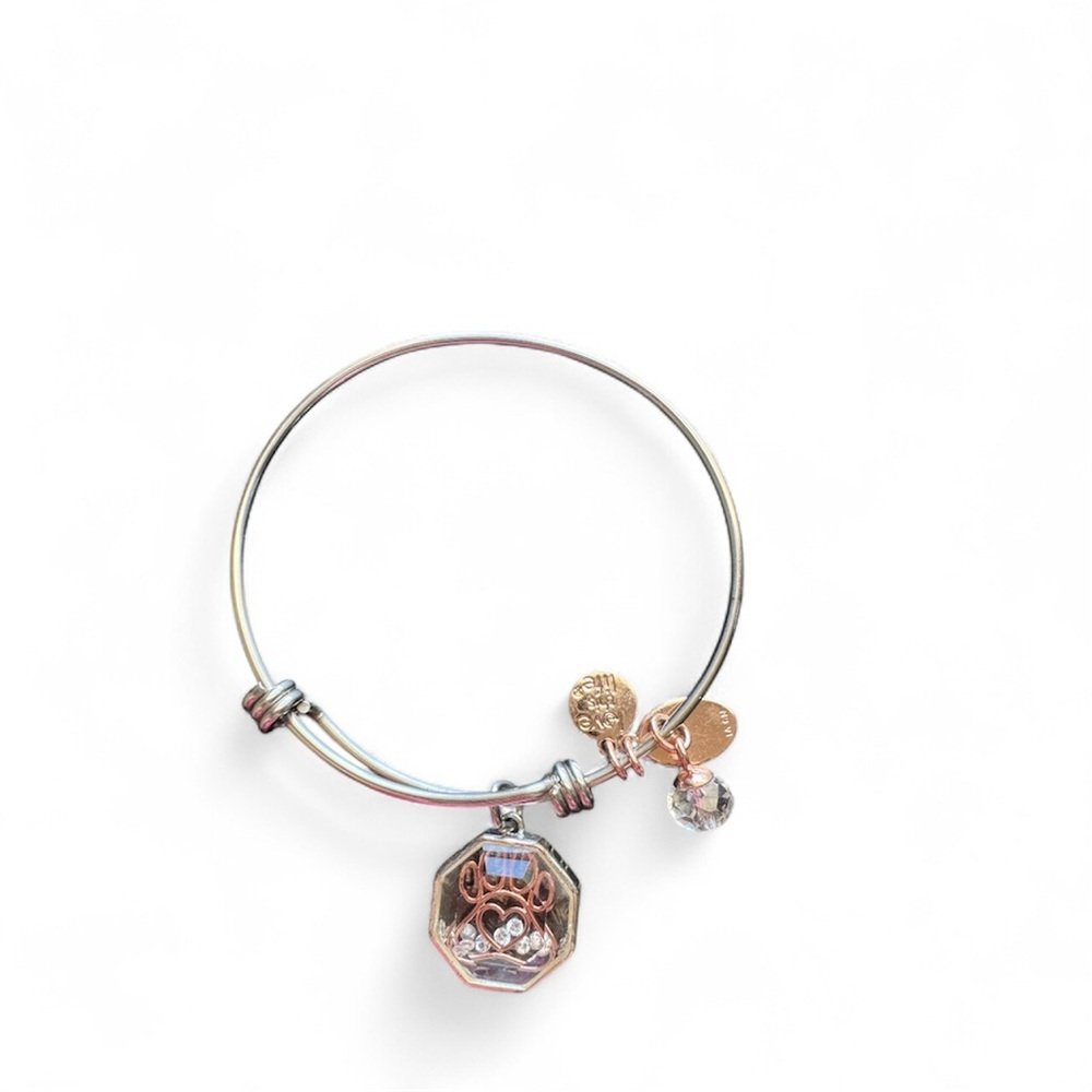 Love 🐶🐶Silver and Gold Dog adjustable bracelet - Picture 2 of 2